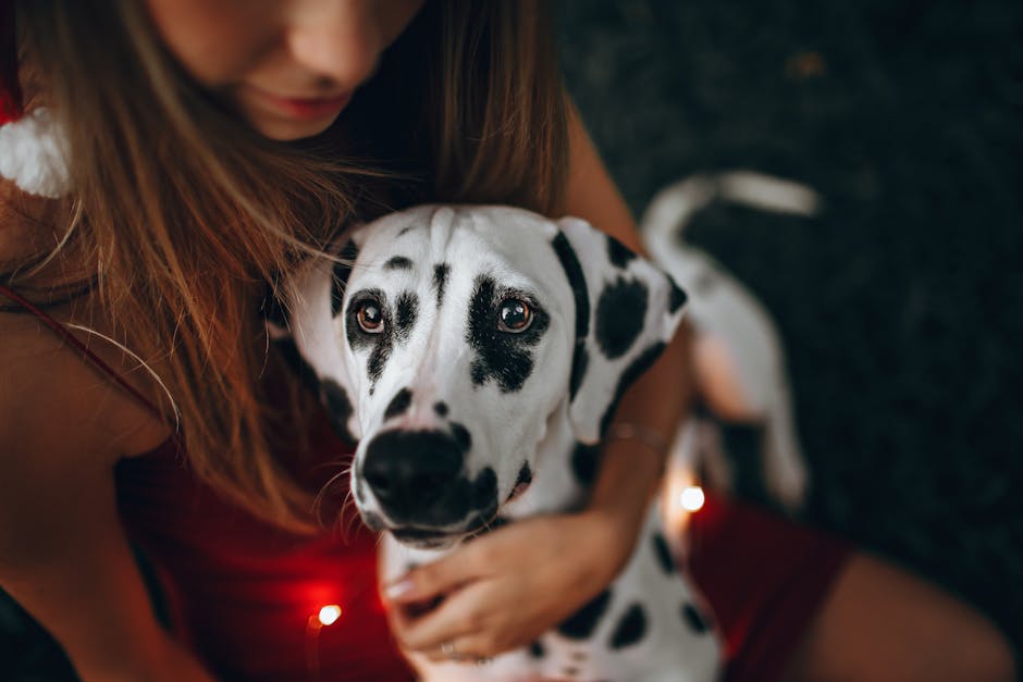 Tyfaxiy Team with Happy Pets