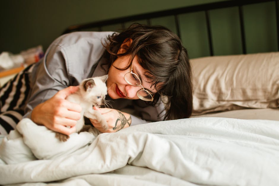 Happy pets enjoying premium care services at Tyfaxiy's luxury pet retreat